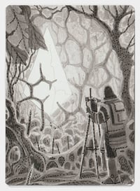 Image 2 of Grove of the Burnwillows Artist proof MtG card