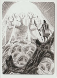 Image 3 of Grove of the Burnwillows Artist proof MtG card