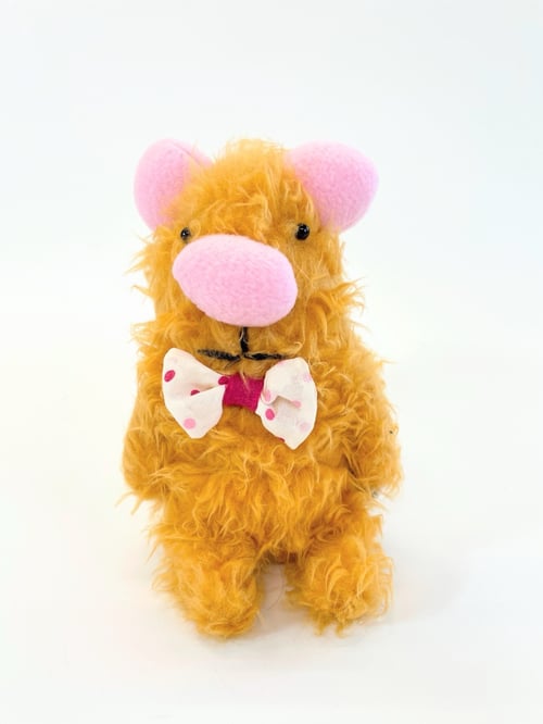 Image of Gusto Guinea pig