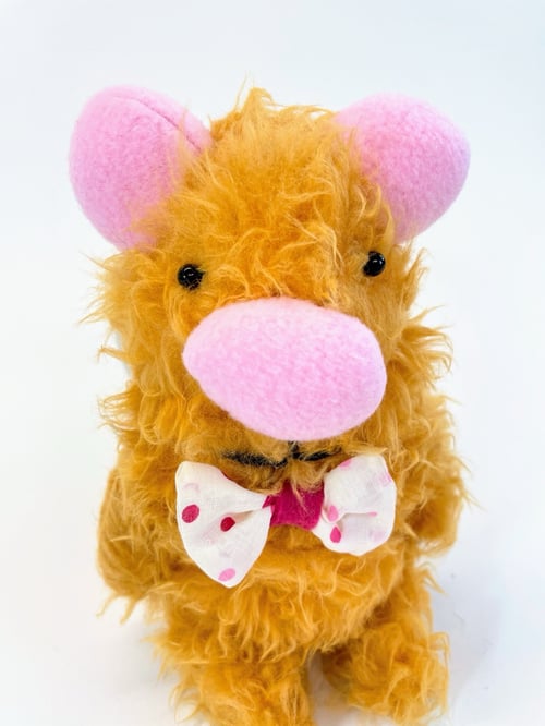 Image of Gusto Guinea pig