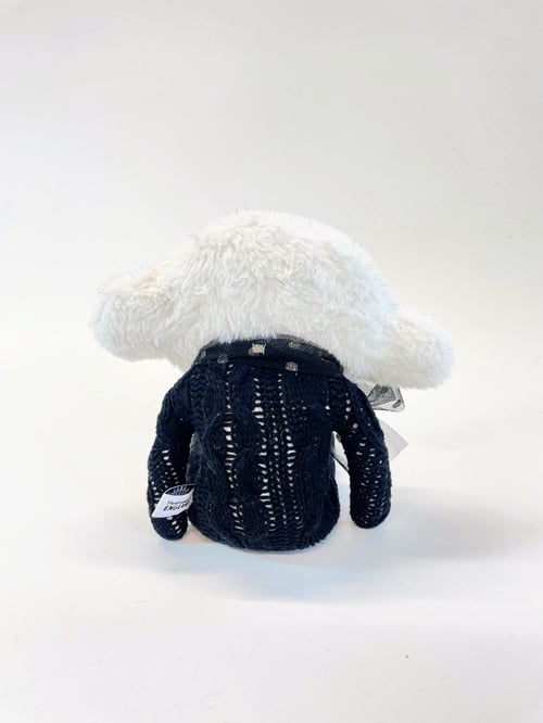 Image of Misty moon the mystic Monkey