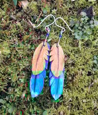 Image 1 of Leather feather earrings- kingfisher 