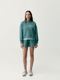 Image 3 of Short Lionel Cucumber 