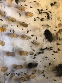 Image 3 of Introduction to Eco Printing Workshop