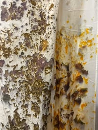 Image 5 of Introduction to Eco Printing Workshop