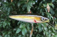 Image 2 of SPEEDBAITS Custom Airbrushed Topwater 2442