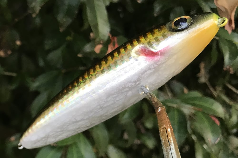 SPEEDBAITS Custom Airbrushed Topwater 2442 - Image 3