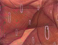 Saanchie Goswamy || Untitled, 2025