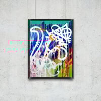 Image 1 of Rainbow Mushrooms