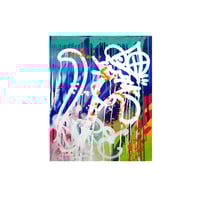 Image 2 of Rainbow Mushrooms