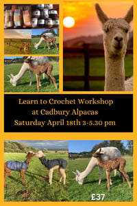 Image 1 of Learn to crochet at Cadbury Alpacas April Saturday 18th 3-5.30 pm 