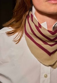 Image 1 of Foulard Lana Tourmaline  Bordeaux 