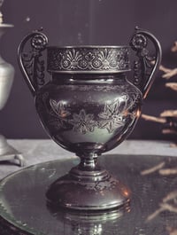 Image 2 of Maybelle cauldron 