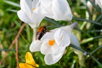 Image 5 of Personal Project