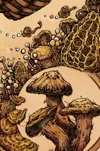 Image 2 of The Fungal Foragess 12x18" Limited Print