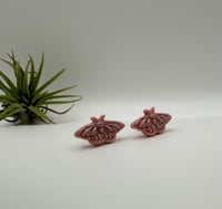 Image 1 of Butterfly Studs