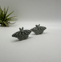 Image 4 of Butterfly Studs