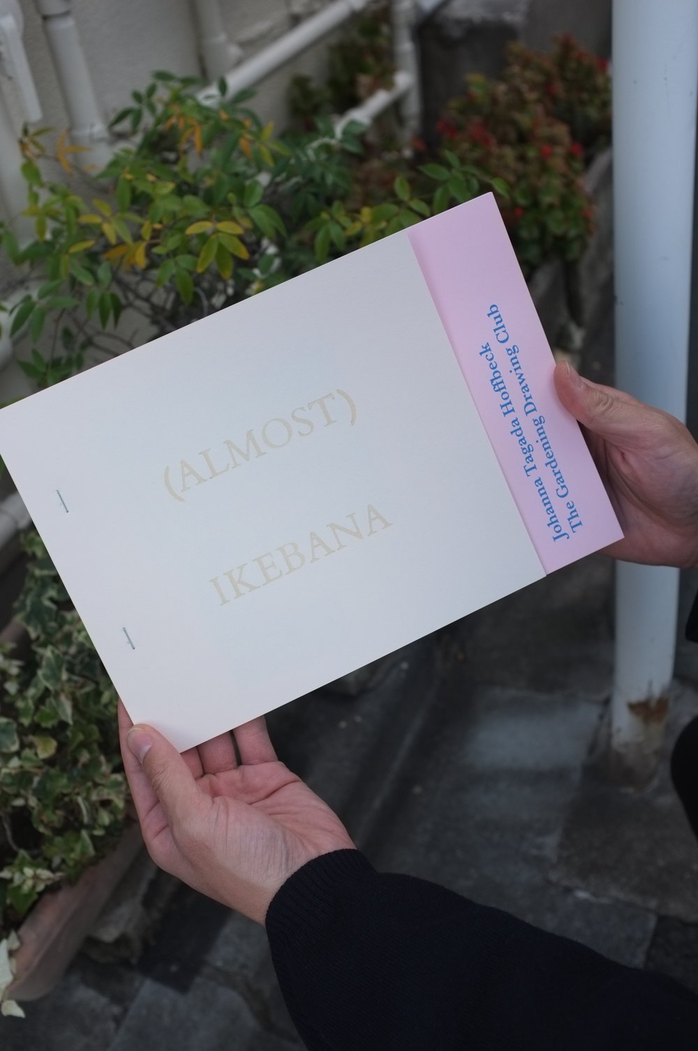 <span style="color: #f4cccc;"> NEW</span> (ALMOST) IKEBANA - The Gardening Drawing Club