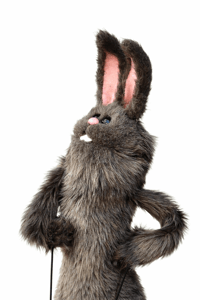 Image 2 of The BUNNY Critter Puppet in Dark Gray