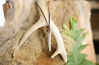 Image 1 of Beaded Antler Tip Necklace