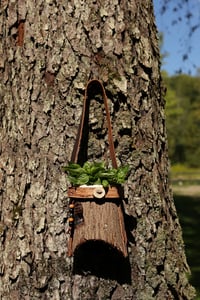 Image 2 of Berry Tree Bark Foraging Satchel