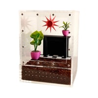 Image 4 of Apartment Therapy - Plants