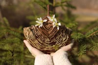 Image 1 of Woodbine Hand Gathered & Hand Woven Basket