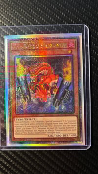 T.G. Rocket Salamander QCR