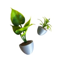 Image 24 of Sample Sale