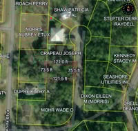 Mobile Home Friendly Land-Pearlington