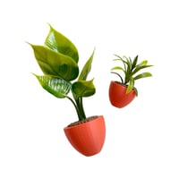 Image 3 of Apartment Therapy - Plants