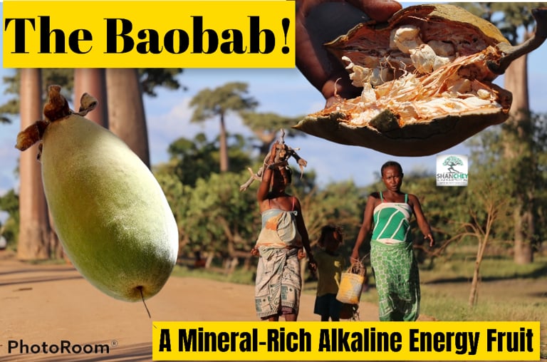 EXOCTIC FRUIT POWDERS. MANGO. KEY LIME. BAOBAB. 