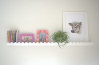 Image 3 of The Scallop 800 