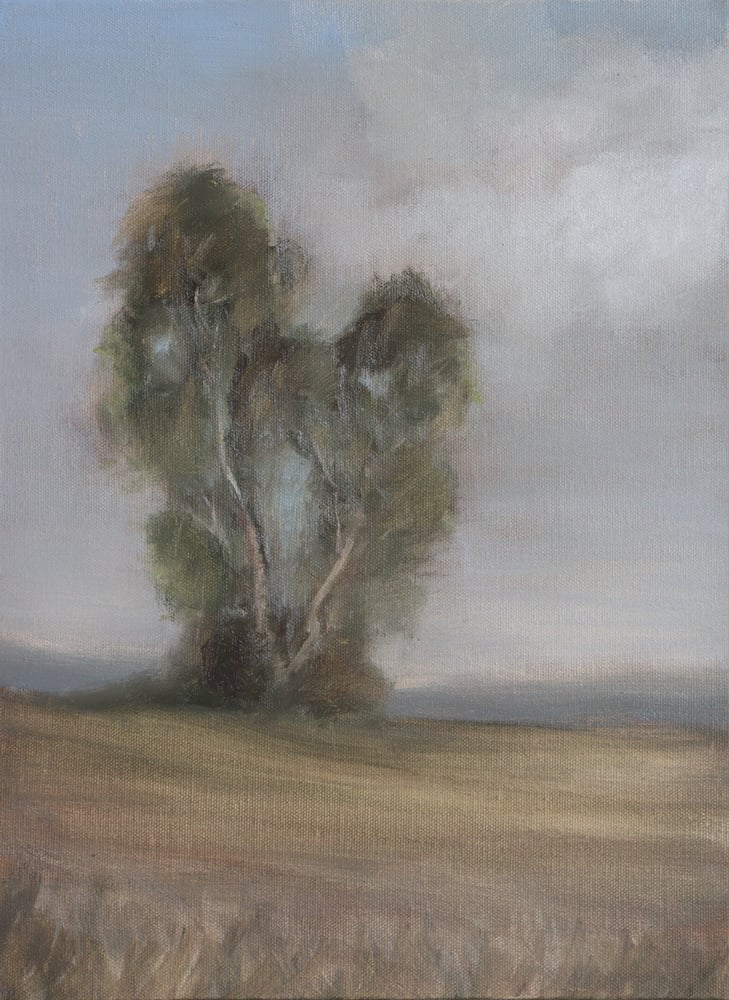 Image of Arbres solitaires
