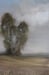 Image of Arbres solitaires