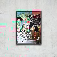 Image 1 of NY Mushrooms 