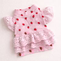 STRAWBERRY POINTELLE TOP