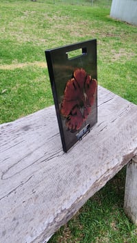 Image 7 of Californian red cedar 166