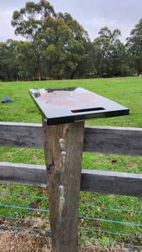 Image 11 of Californian red cedar 166