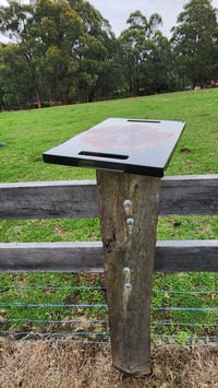 Image 12 of Californian red cedar 166