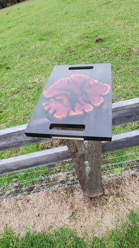 Image 13 of Californian red cedar 166