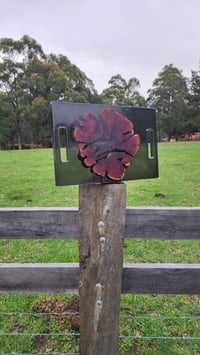 Image 14 of Californian red cedar 166