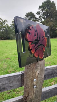 Image 15 of Californian red cedar 166