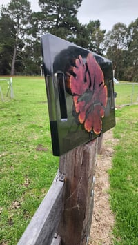Image 2 of Californian red cedar 166