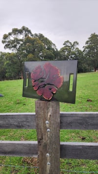 Image 16 of Californian red cedar 166