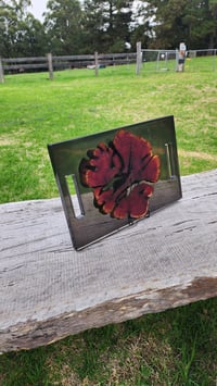 Image 17 of Californian red cedar 166