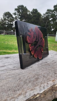 Image 18 of Californian red cedar 166