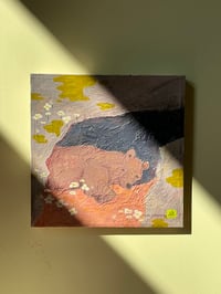 Image 1 of Waking up for spring