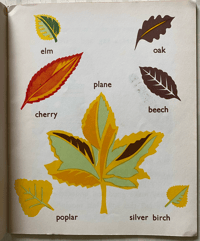 Image 4 of My Autumn Book by Audrey Bradnick