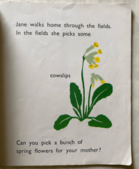 Image 3 of My Spring Book by Audrey Bradnick